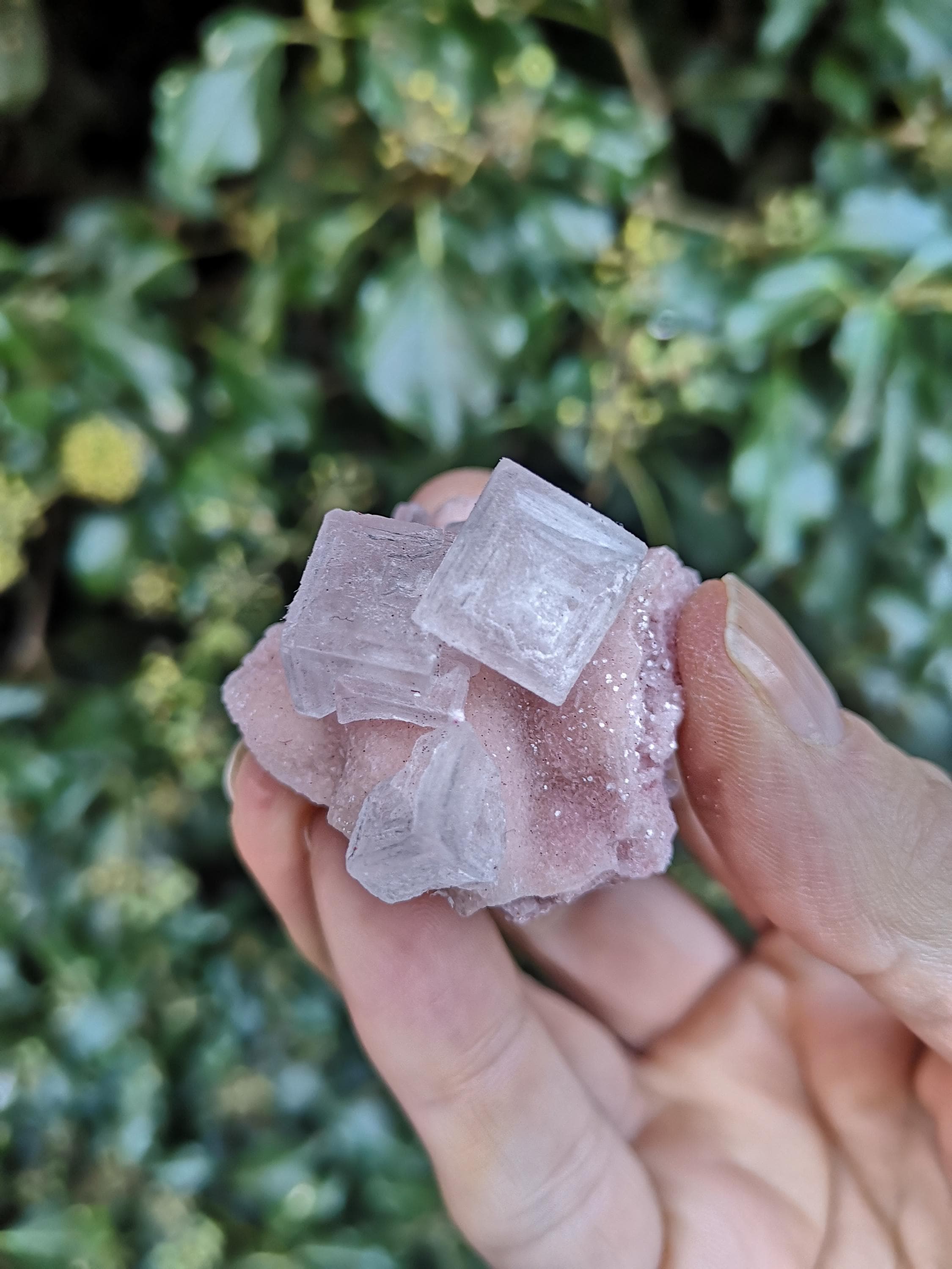 Pink Halite Specimen - Cubic Sparkly Pink Halite 23g - Halite Salt Rock ...