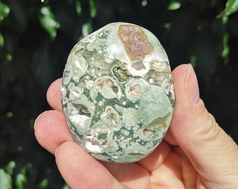 Rainforest Jasper Palm Stone - Madagascan Rhyolite Crystal Pocket Size - Jungle Jasper with Quartz and Lava Pockets - Rain Forest Gem