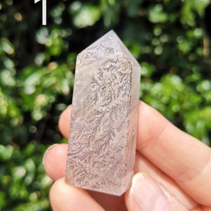 May include: A clear quartz crystal point with dendritic inclusions. The crystal is held in a hand against a blurred green background. The number "1" is in the upper left corner.