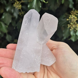 May include: Two clear, white, crystal quartz points with a rough, textured surface. The points are clustered together and are held in a hand.