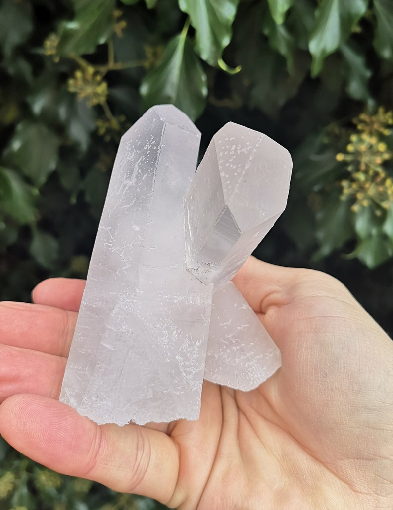 May include: Two clear, white, crystal quartz points with a rough, textured surface. The points are clustered together and are held in a hand.