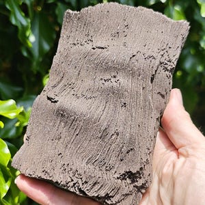 May include: A dark grey, rectangular piece of material with a textured, layered surface. The object is held in a hand against a backdrop of green foliage. The material appears to be stone or a similar substance.