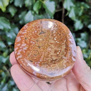 May include: A smooth, polished, oval-shaped, brown and white agate stone with a deep, bowl-like indentation. The stone has a swirling pattern of white and brown.