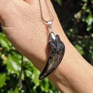 May include: A pendant necklace with a dark, claw-shaped pendant and gold detailing. The pendant hangs from a silver chain. The claw design is detailed and held by a hand, against a green background.
