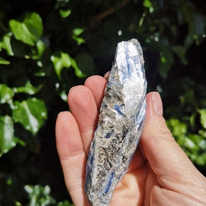 K&ouml;nnte beinhalten: Ein blauer Kyanit-Kristall mit silbernem Schimmer. Der Kristall ist rau und hat ein nat&uuml;rliches, rohes Aussehen.