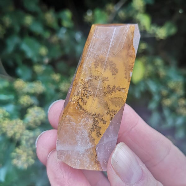 Dendritic Golden Healer Quartz Free Form 50g - Healer Quartz with Dendritic Inclusions - Fern Plant Gold Healer Quartz -Activate All Chakras