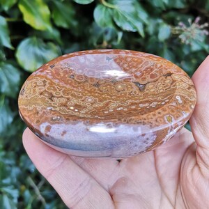 May include: A brown and white agate bowl with a swirling pattern. The bowl is smooth and polished, and it has a natural, organic shape.
