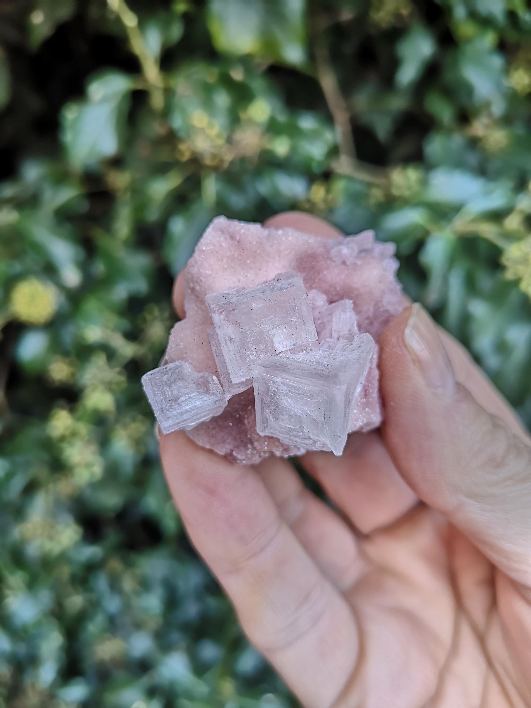 Pink Halite Specimen - Cubic Sparkly Pink Halite 23g - Halite Salt Rock ...