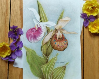5X7 Art Card - Showy Moccasin Flower