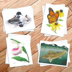 Minnesota State Symbols Notecards