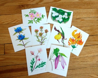 Minnesota Wildflower Notecards, Collection 2