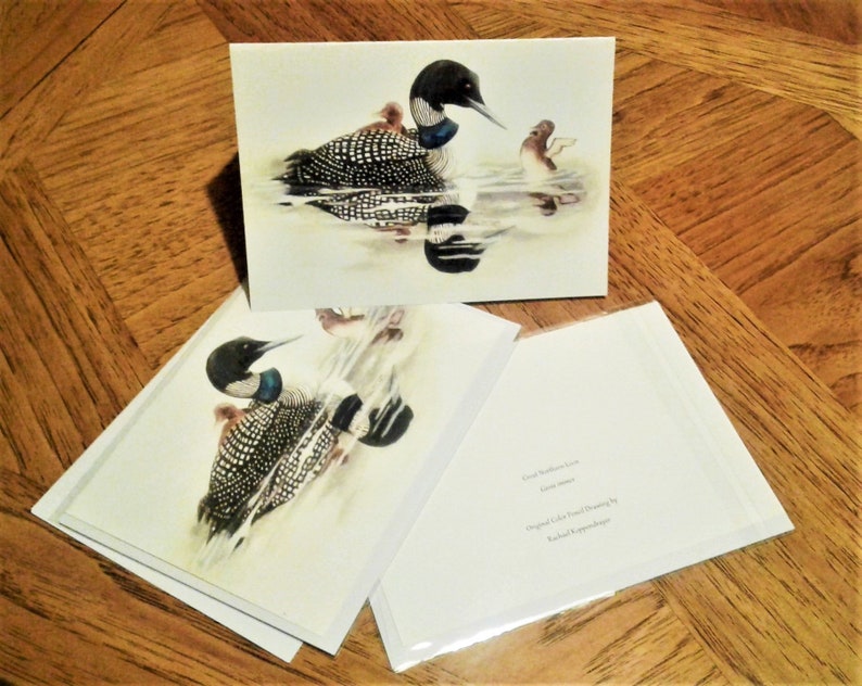 5X7 Art Card  Great Northern Loon image 1