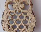 Trivet Cast Iron hot pot holders cast iron pan holder wall decor farmhouse decor, owl