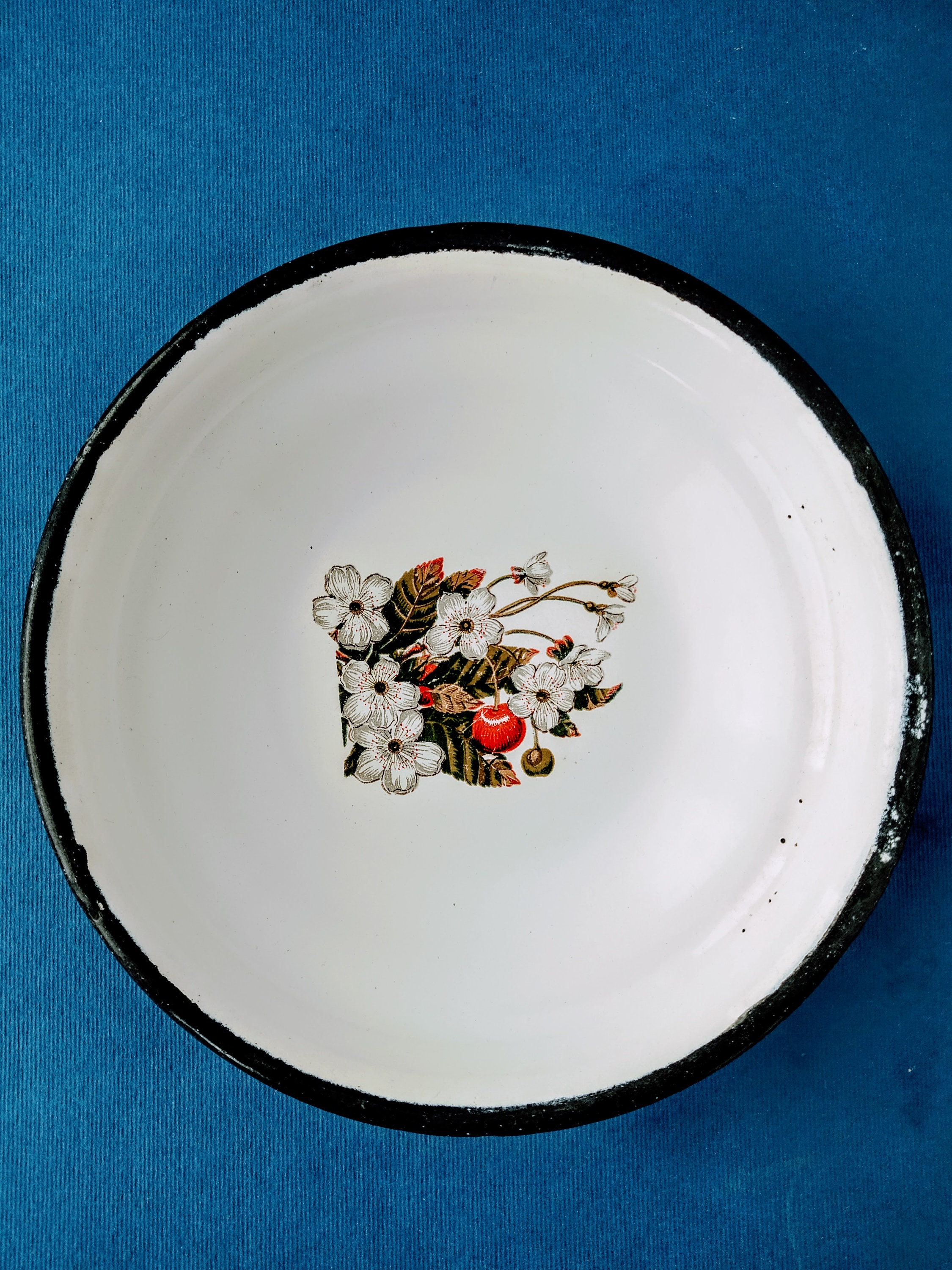 Vintage enamel plates with flowers Set of two white Etsy