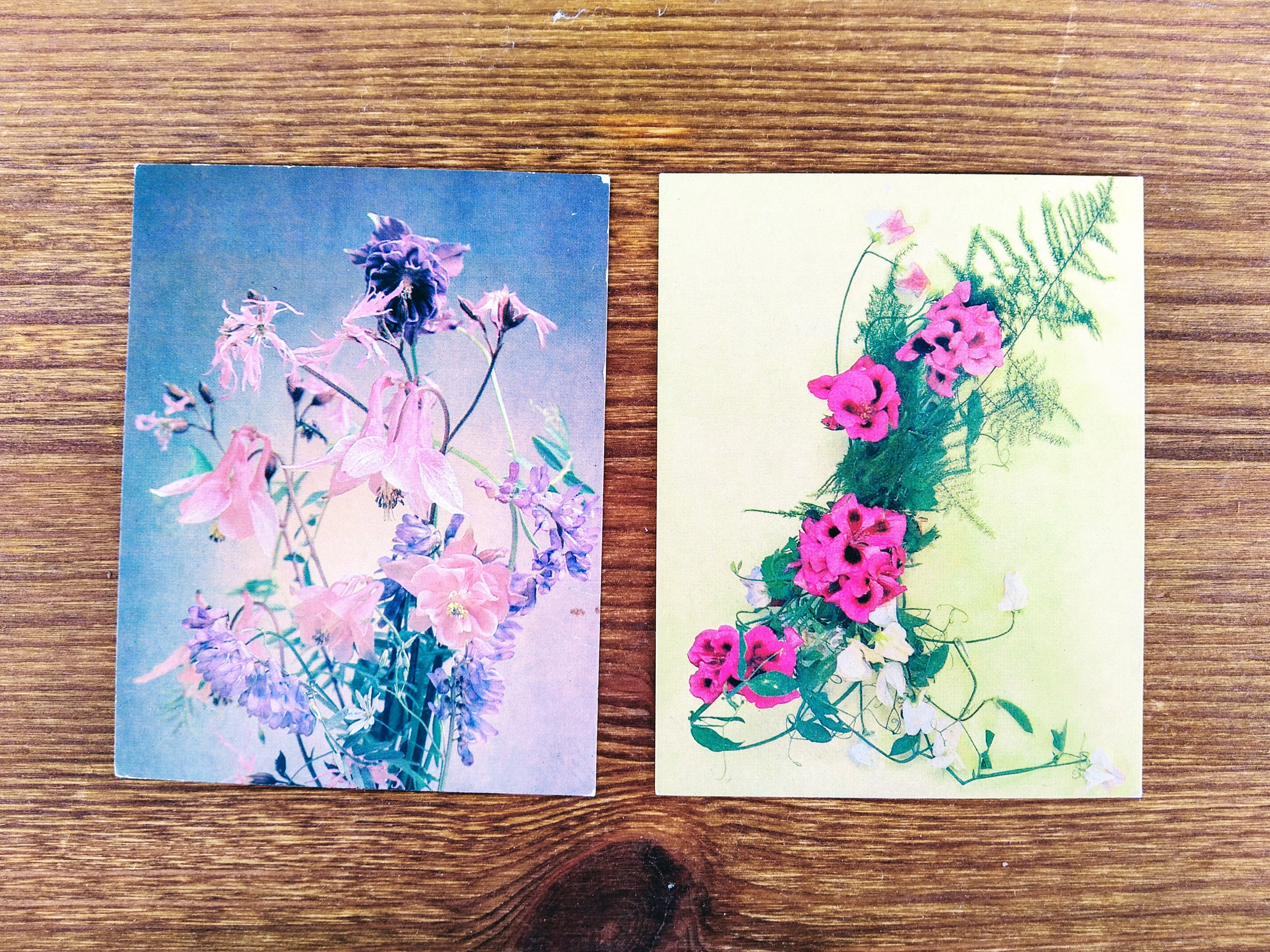 Set of 9 Flowers Postcard Floral Postcard Collection Etsy UK