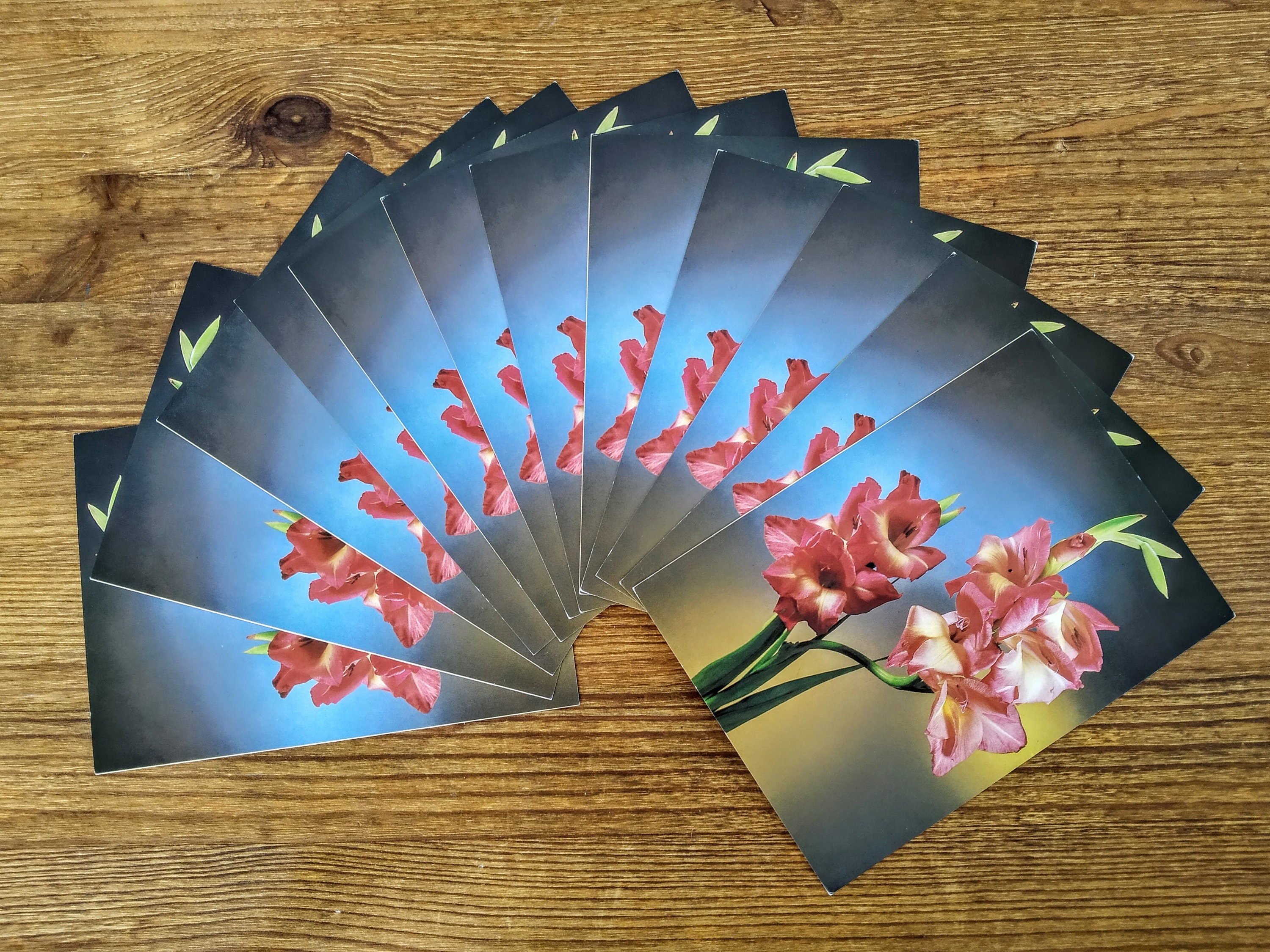 Set of 24 Flowers Postcard Floral Postcard Collection Etsy UK