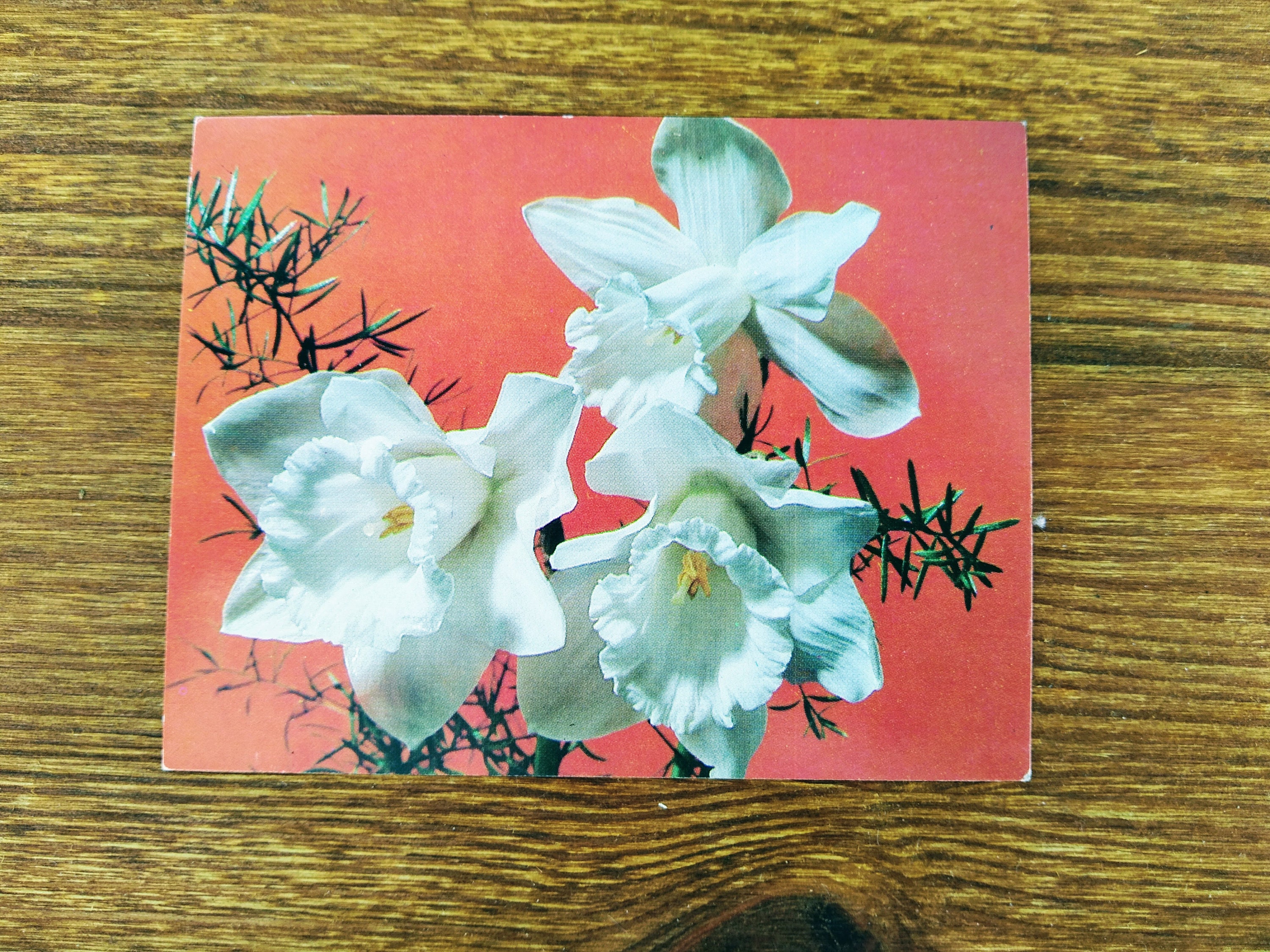 Set of 9 Flowers Postcard Floral Postcard Collection Etsy UK