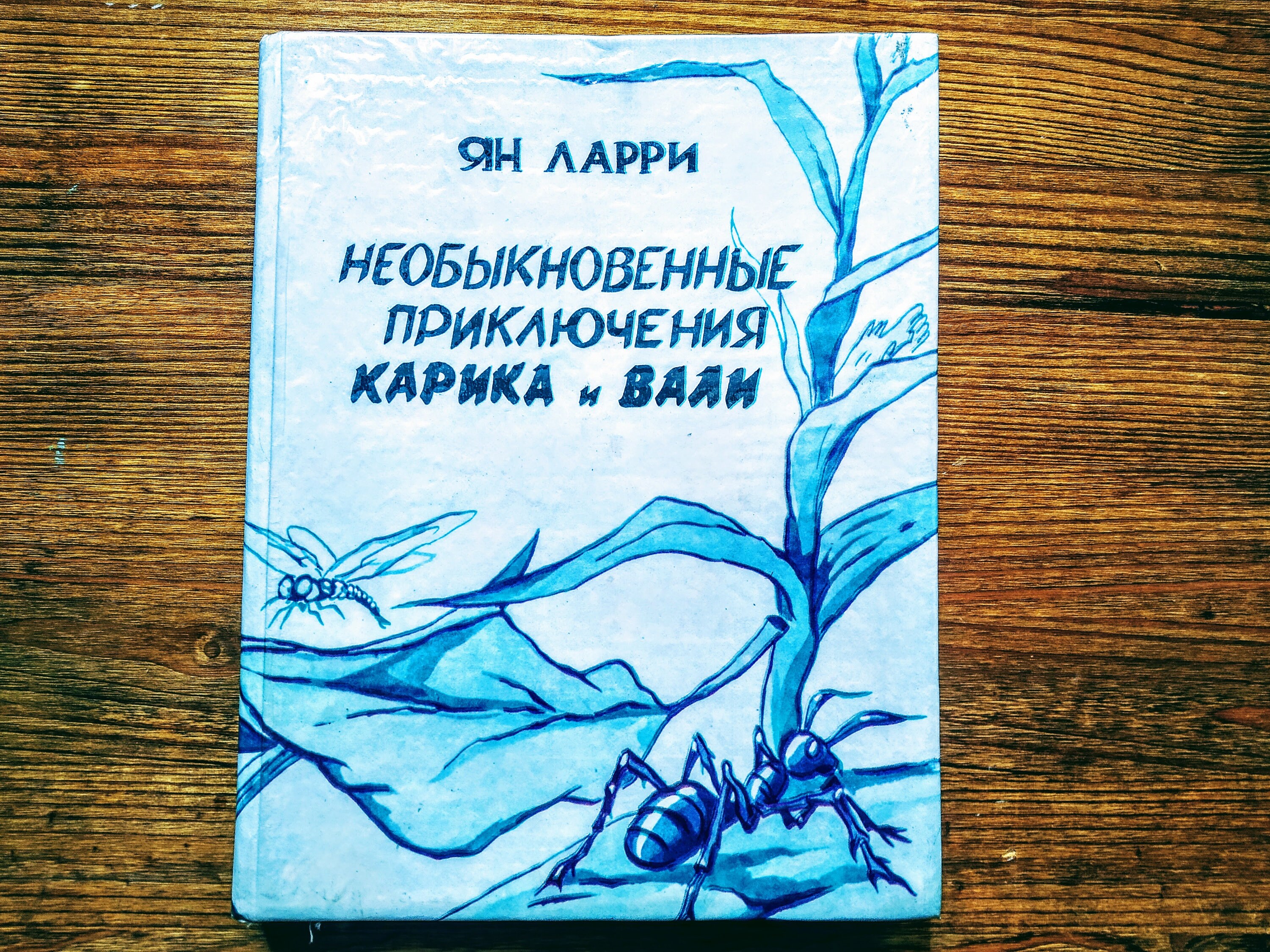 The Extraordinary Adventures of Karik and Vali by Y. Larry - Ян Ларри Необыкновенные Приключения Карика и Вали- Vintage kids book in russian