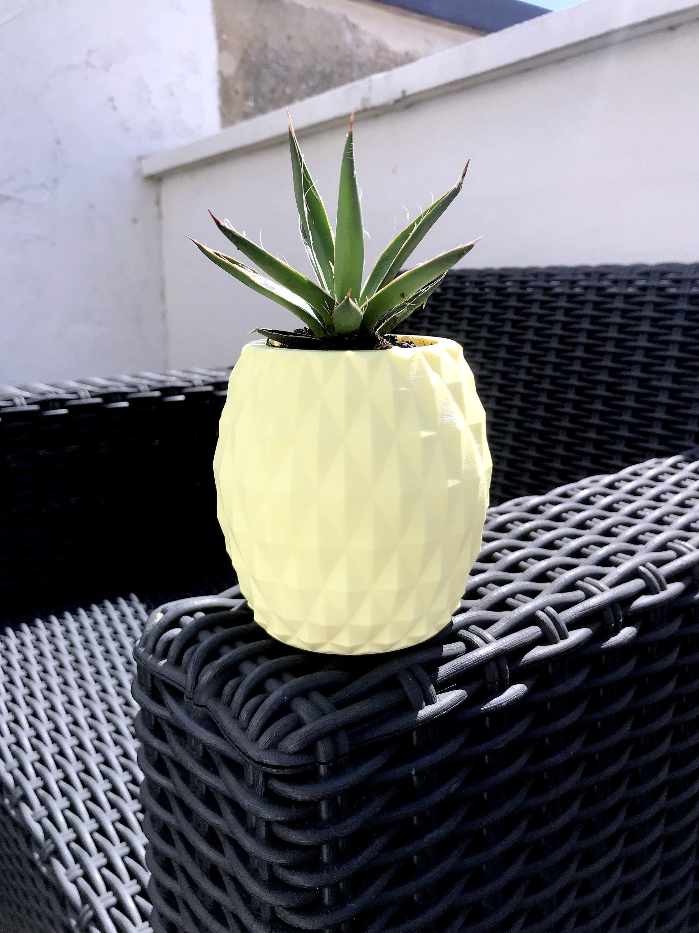 Pot de Fleur Ananas - Impression 3D