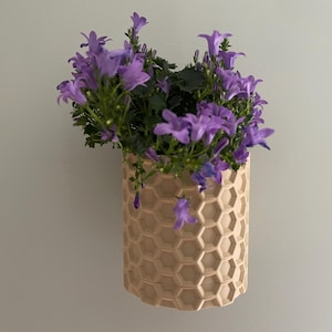 Flower Pot - 3D Honeycomb Design Wall Planter - Modern and Natural Wall Decor - HEX - 3D Print - Vase