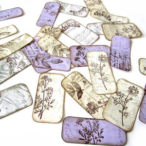 Éphémères de journaux indésirables, étiquettes botaniques pour techniques mixtes, différentes tailles, sur papier, 28 pièces, étiquettes faites individuellement à la main