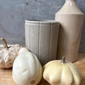 May include: A beige ceramic bottle and a cylindrical ceramic container with vertical ribbed textures, accompanied by three small, pale, bumpy gourds and squash arranged in a cluster on a wooden surface.