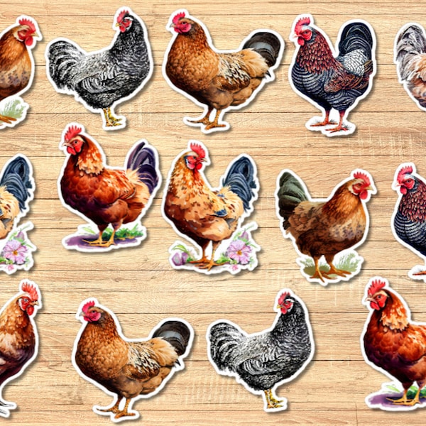 Set 14 Chicken Sticker Set Sticker journal laptop sticker planner hens sticker scrapbook sticker farm animal sticker pack retro stickers hen