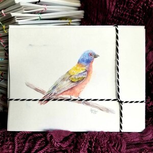 Watercolor painted bunting bird handmade note card set of 4 with envelopes