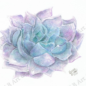 Original succulent watercolor, succulent art, colorful succulent, watercolor succulent, succulent painting, succulent  painting, watercolor