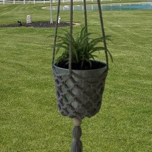 May include: A gray macrame plant hanger with a wooden ring at the top and a tassel at the bottom. A green plant is hanging in a gray pot.
