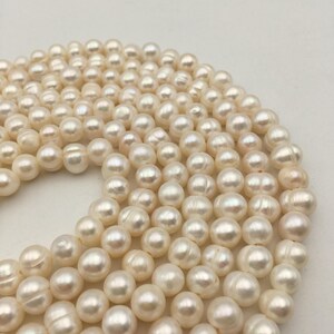May include: A strand of white freshwater pearls. The pearls are round and smooth, with a slight iridescent sheen. They are strung on a clear thread.
