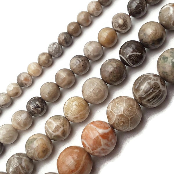 Natural Fossil Coral Smooth Round Beads 4mm 6mm 8mm 10mm 12mm 15.5" Strand