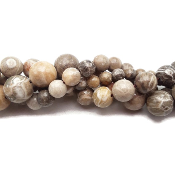 Natural Fossil Coral Round Beads A Quality for Necklace 8mm 10mm, Jewelry Making in 4mm 6mm Bracelet