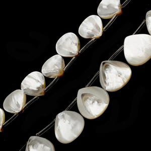 MOP Shell Teardrop Beads 13x13mm 15x15mm 15.5" Strand