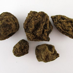High John the Conqueror Root - Whole Root - Remove Obstacle Curse, Magical Protection, Love Luck Spells- Dee&#39;s Transformational Healing