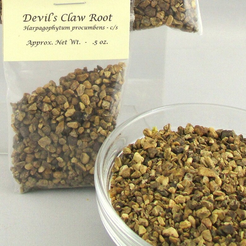 May include: A close-up of a small bag of dried Devil's Claw Root, Harpagophytum procumbens, with a label that reads "Devil's Claw Root, Harpagophytum procumbens - c/s, Approx. Net Wt. - .5 oz.". The root is brown and has a rough texture. The bag is clear plastic and is sitting on a white surface.