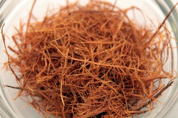 Cat's Claw Bark Cut Sifted - Protection Divination Vision Journey Shamanic Magical Spiritual Metaphysical - Dee's Transformational Healing