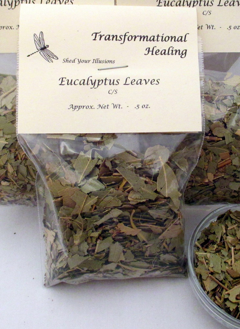 Eucalyptus Leaf Protection Spell Spiritual Wisdom Etsy