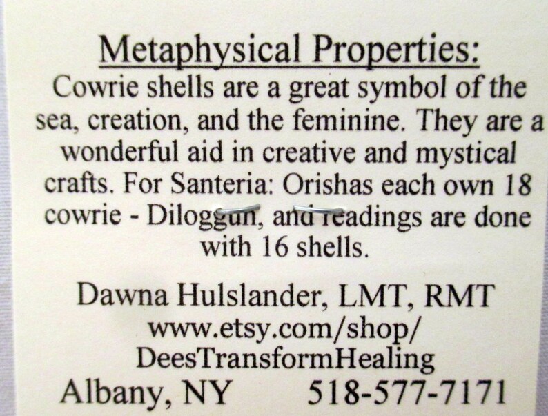 seashell divination seashell divination