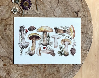 Funghi da cartolina