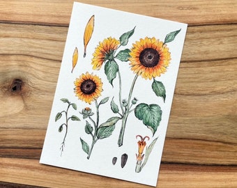 Postal Vintage Girasol