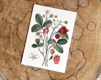 Postkarte Erdbeeren