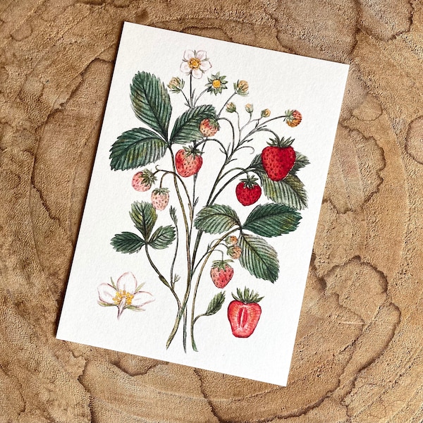 Postcard Strawberries
