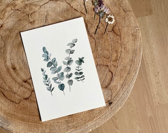 Postcard Eucalyptus