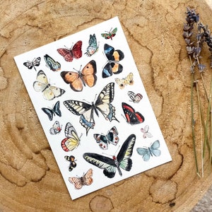 Papillons de carte postale