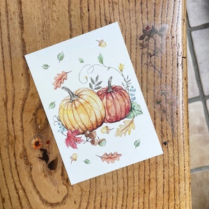 Calabaza postal