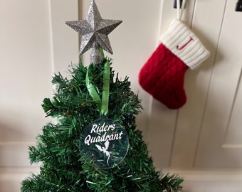 Dragon Rider Christmas Tree Ornament, Bookish Christmas Decor, Gifts for Readers, Basgiath Decor, Scribe Quadrant, Healer