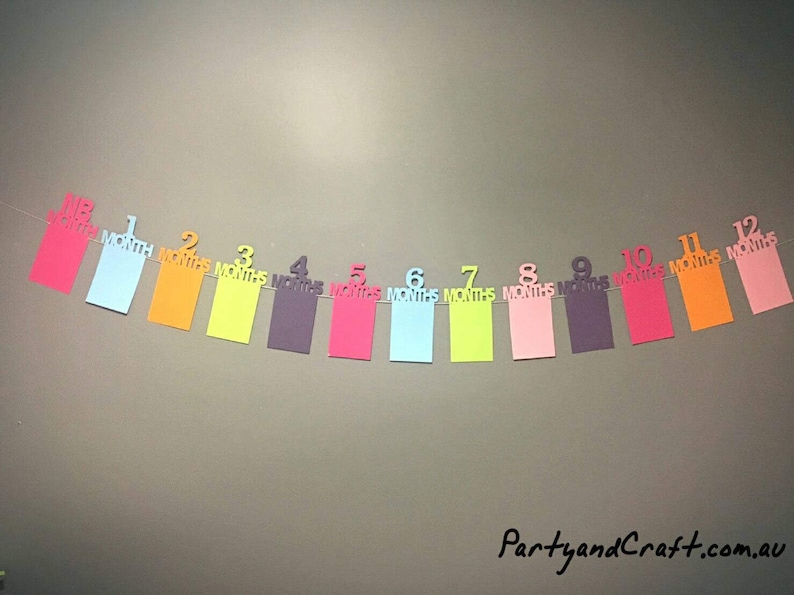 12 month photo banners photo probs monthly photo banner for 1st birthday party first birthday party decoration photo garlands,photo flag