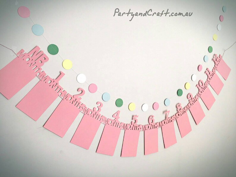 12 month photo banners photo probs monthly photo banner for 1st birthday party first birthday party decoration photo garlands,photo flag