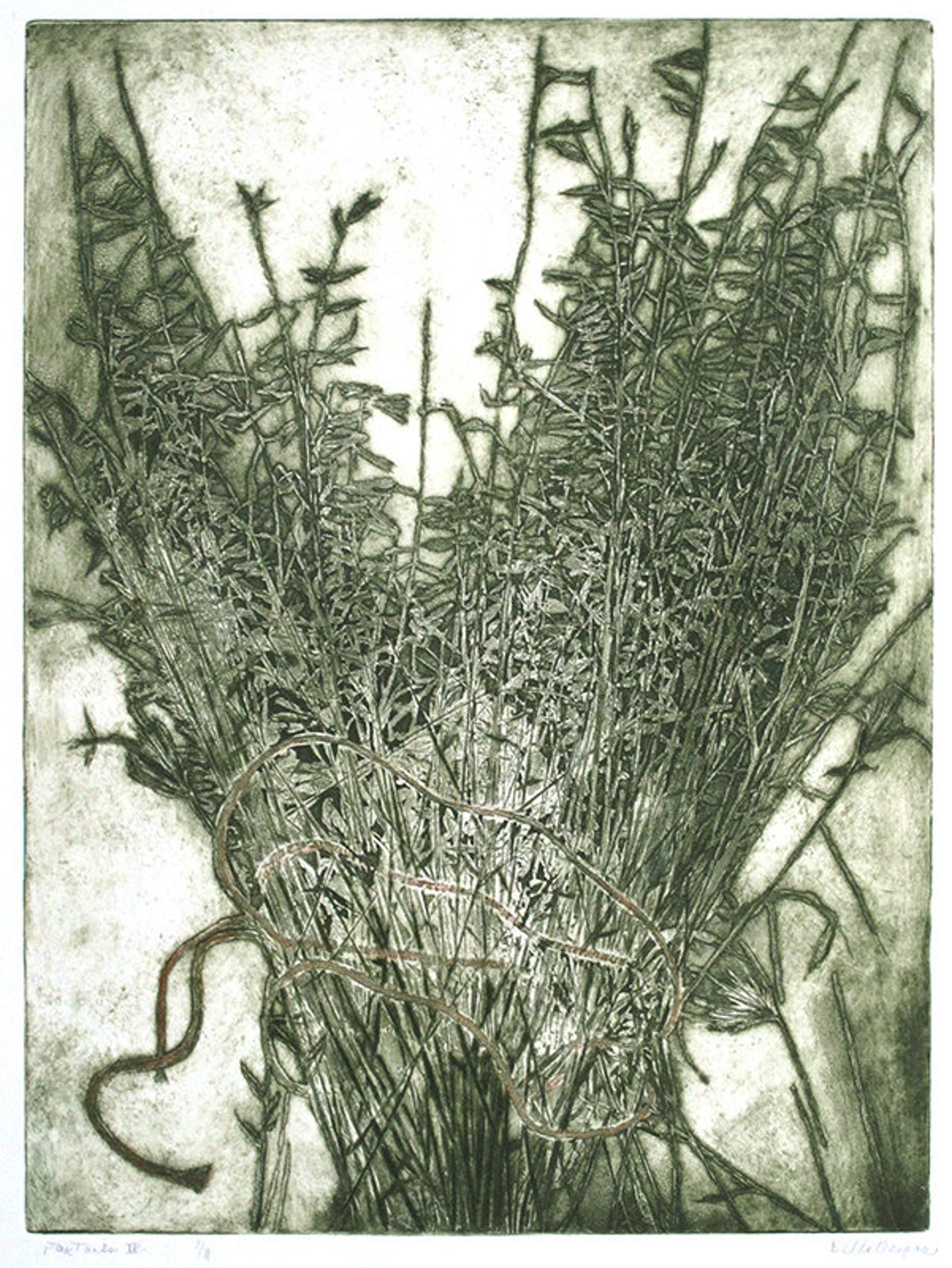Foxtail Grass Plant Etching 23.5 x 17.5 2 colors Etsy